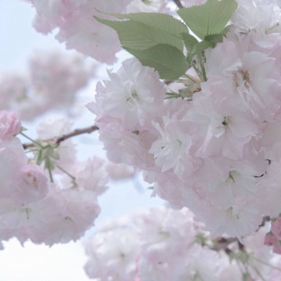 兽设配色实用搭配指南兽圈群